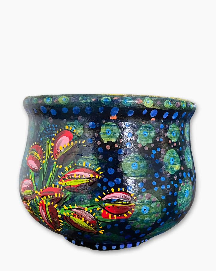 Venus Fly Trap Planter - Heather Freitas 