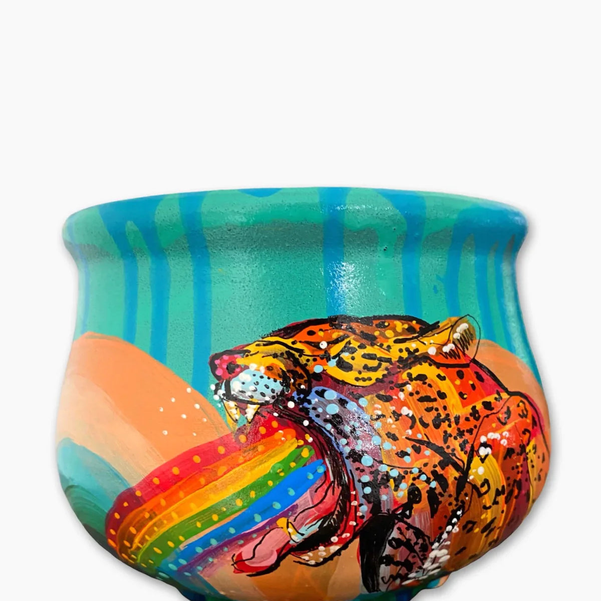 Vintage Rainbow Jaguar Planter - Heather Freitas 