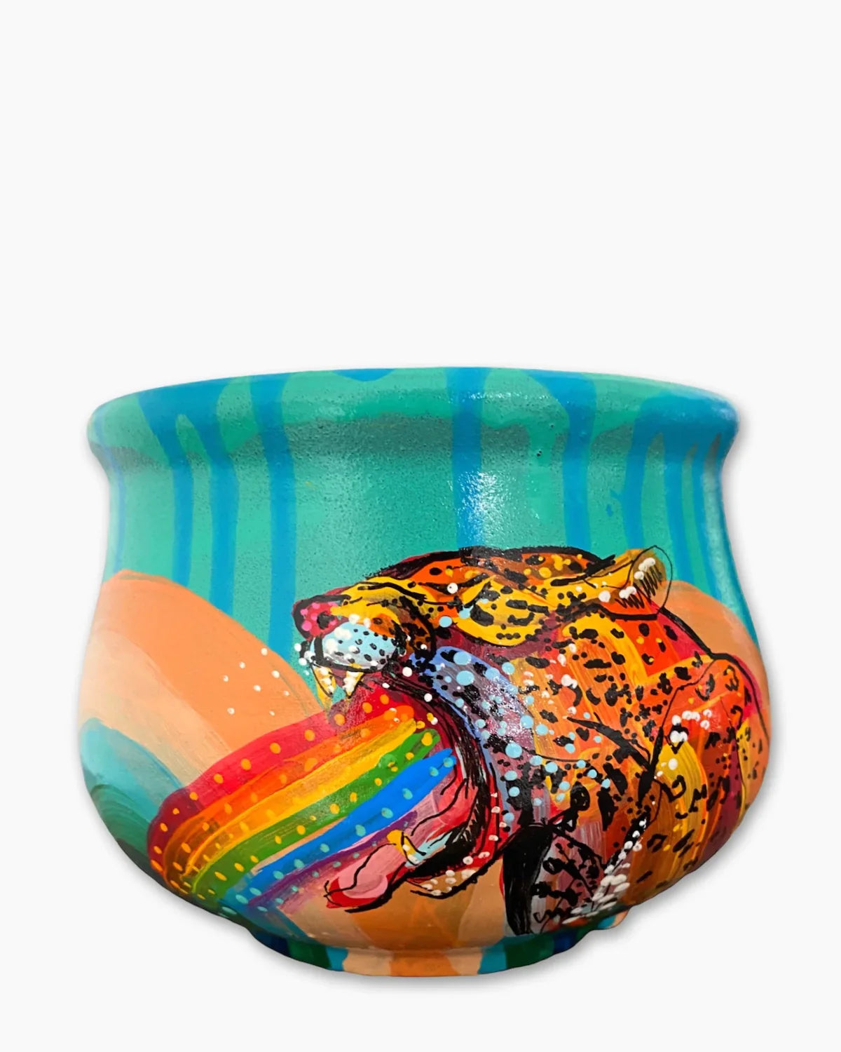 Vintage Rainbow Jaguar Planter - Heather Freitas 