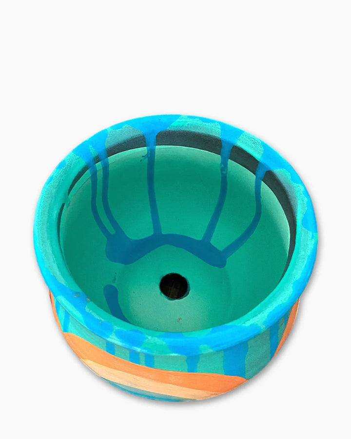 Vintage Rainbow Jaguar Planter - Heather Freitas 
