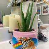 Vintage Rainbow Triger Planter - Heather Freitas 