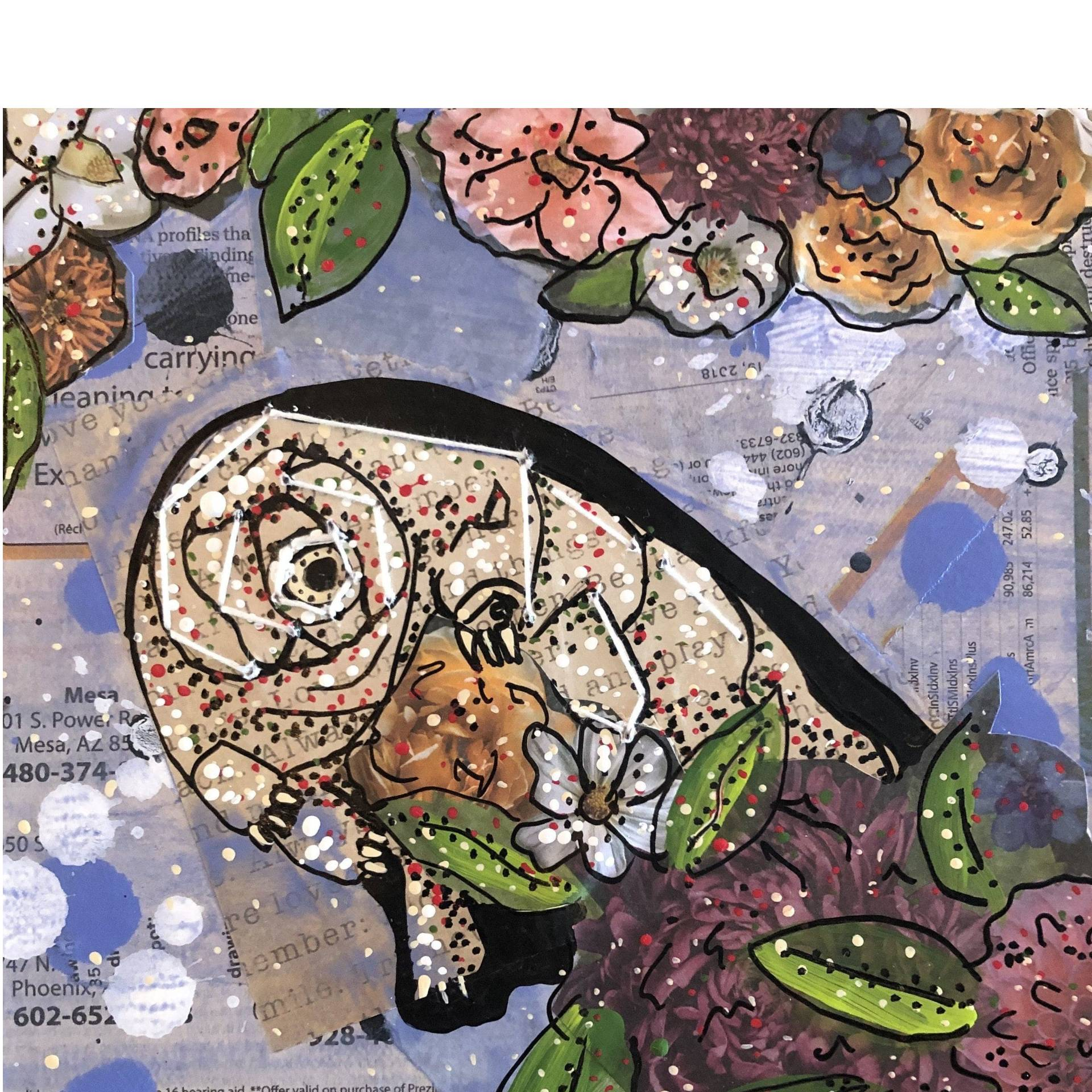 Water Bear - Heather Freitas 