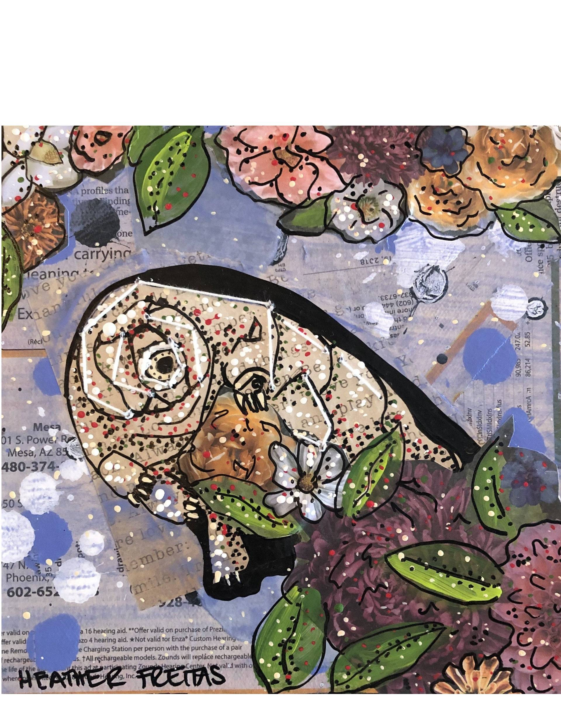 Water Bear - Heather Freitas 
