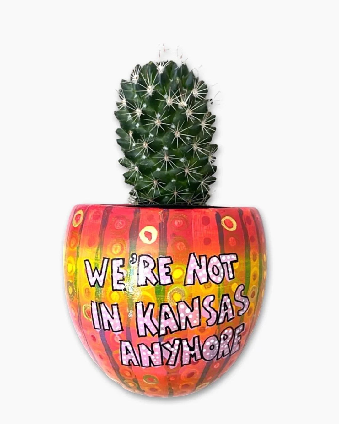 We’re Not In Kansas Anymore Wall Planter With 23k Gold Accents - Heather Freitas 