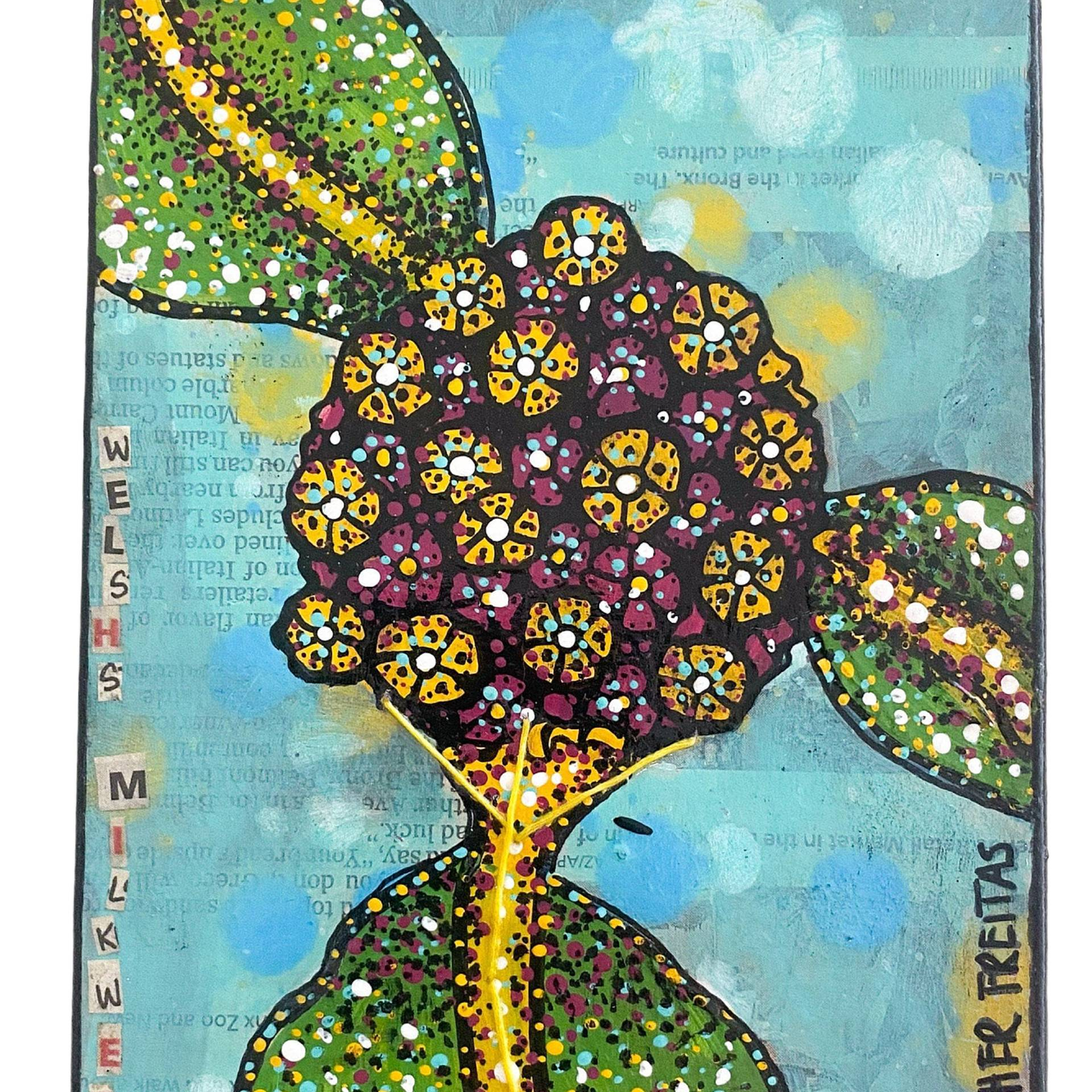 Welch’s Milkweed - Heather Freitas 