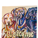 Welcome ( I Light Up ! ) - Heather Freitas 