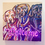 Welcome ( I Light Up ! ) Heather Freitas 