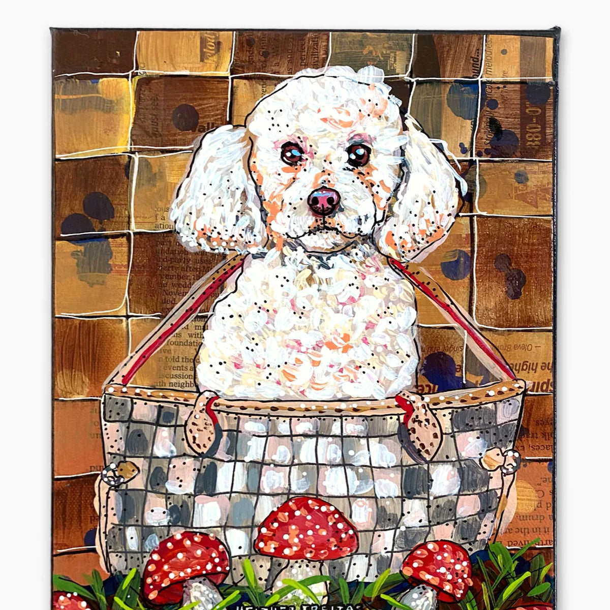 White Toy Poodle - Heather Freitas 