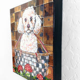 White Toy Poodle - Heather Freitas 