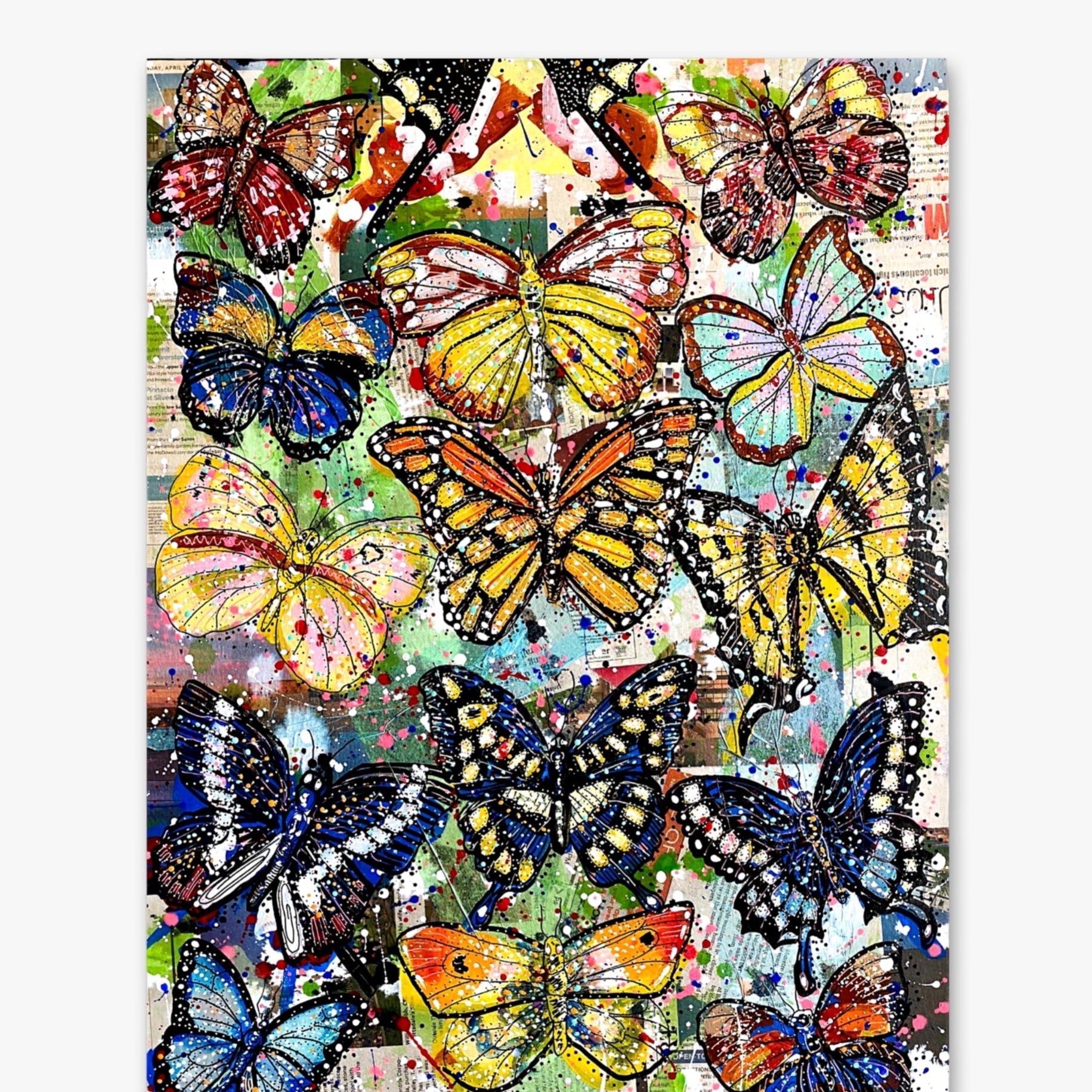Willow - Heather Freitas 