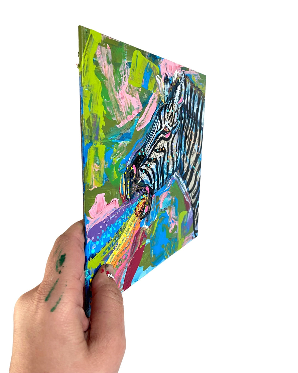 Zebra Vibes & Rainbow Tides - Heather Freitas 