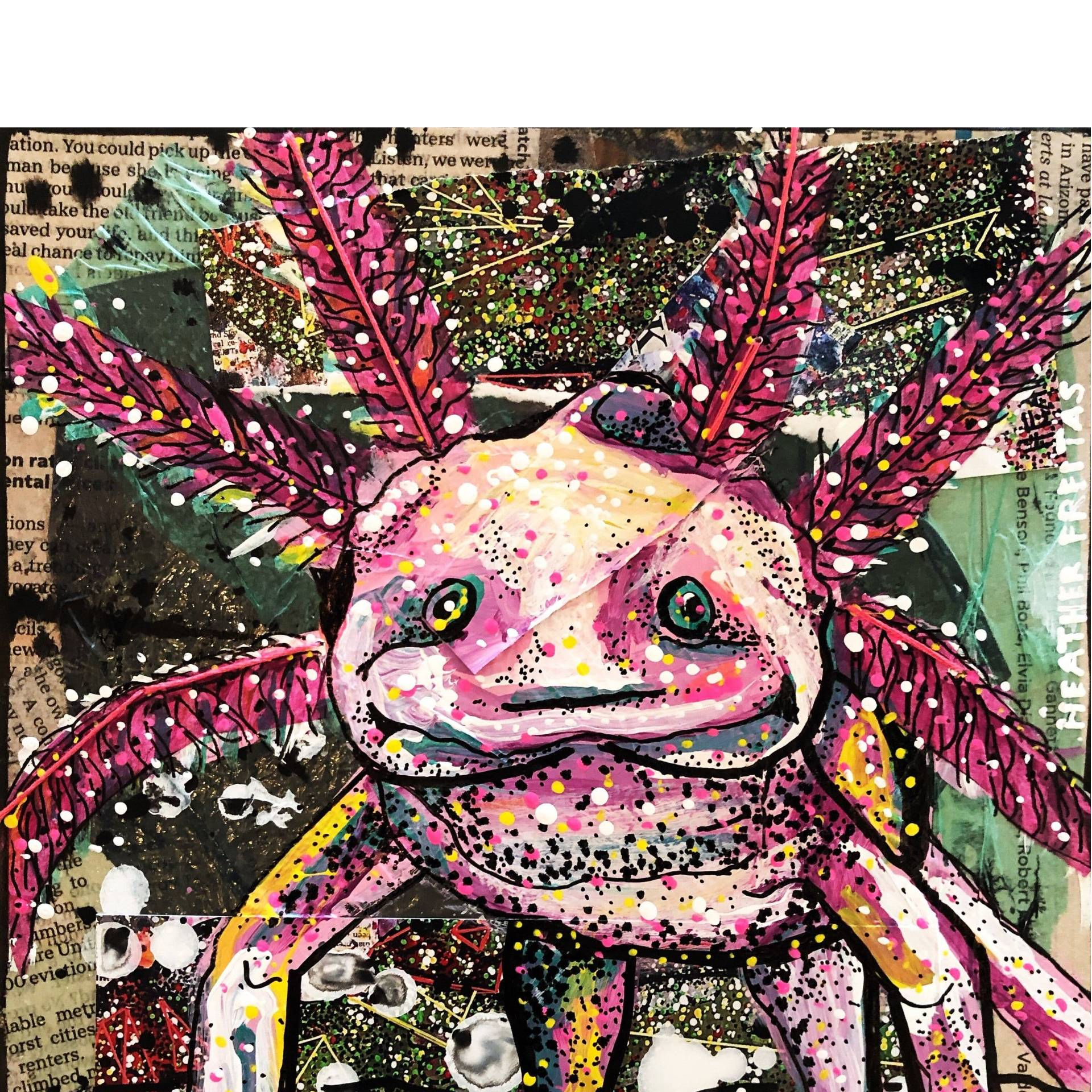 Zippy - Heather Freitas 