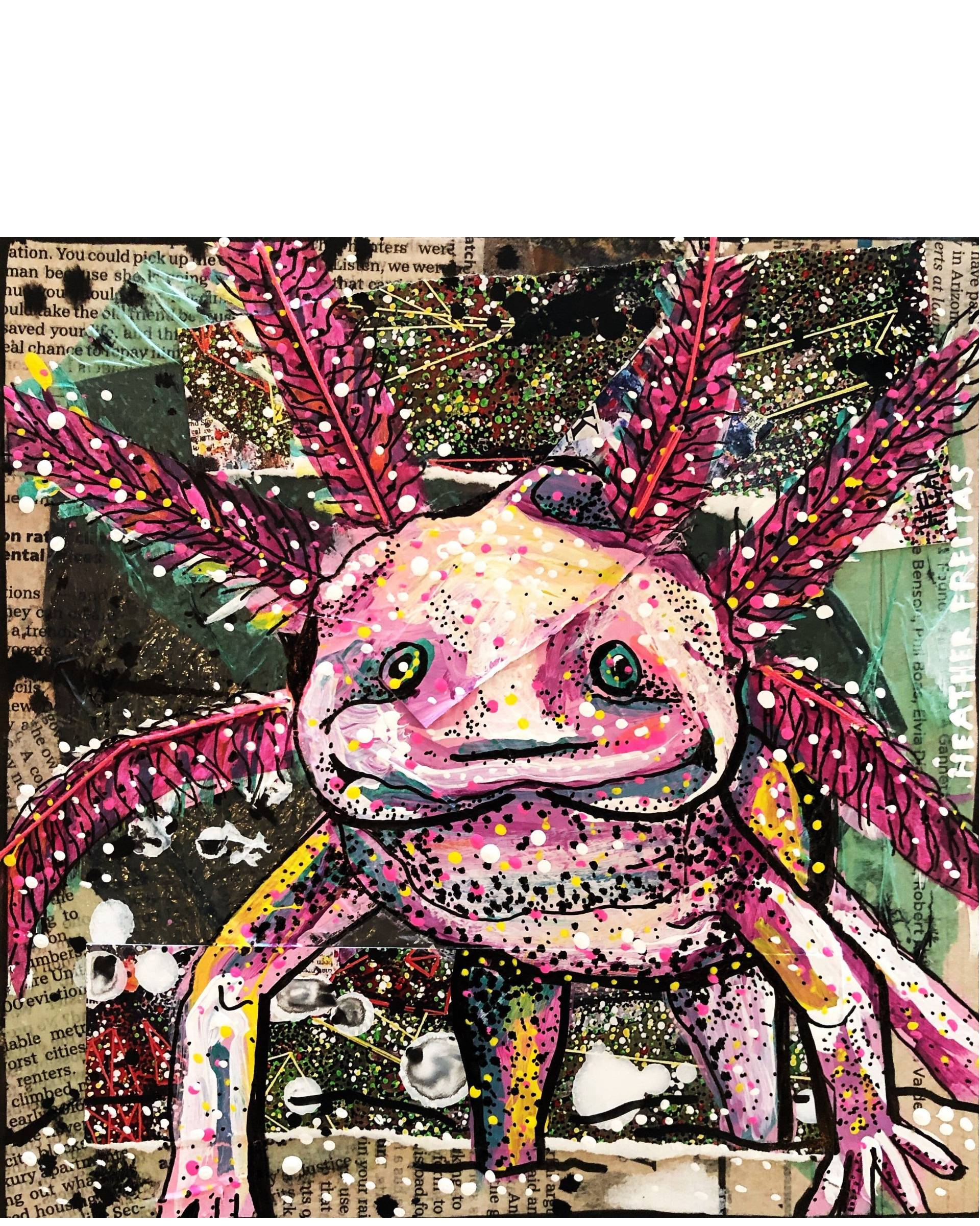 Zippy - Heather Freitas 